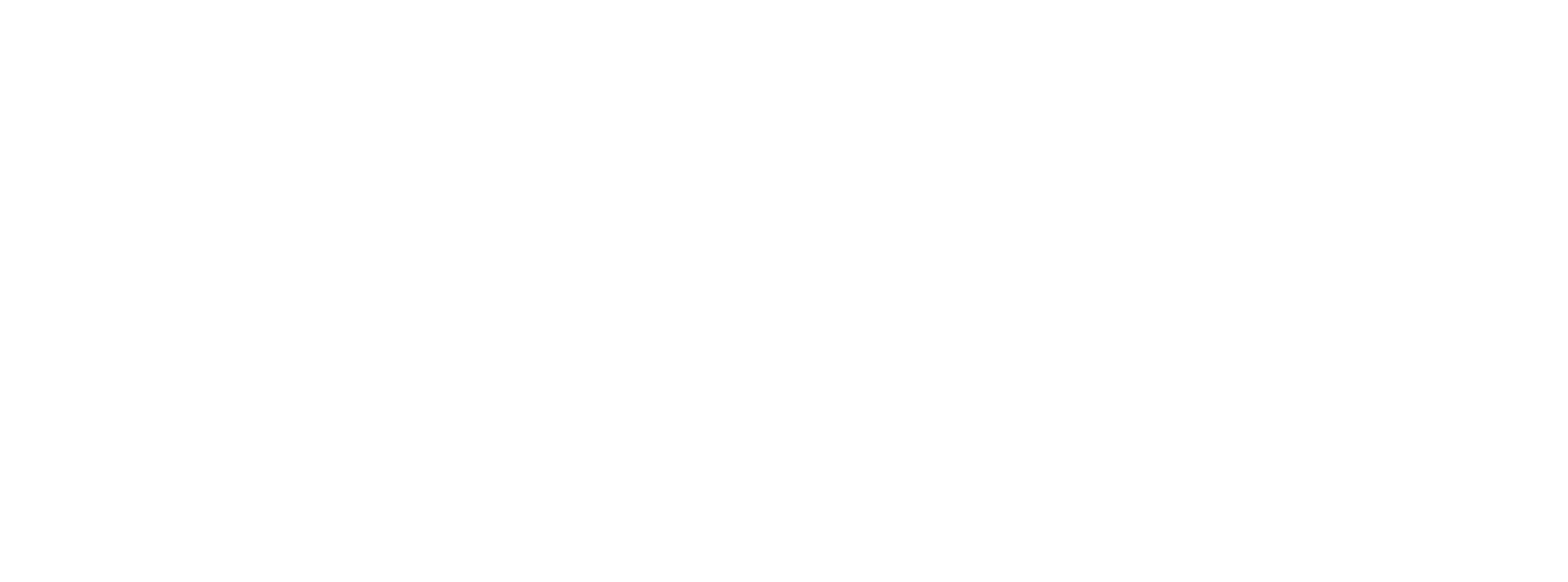ELECMA_BLANC_PNG